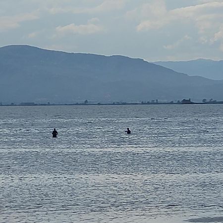 Affittacamere La Llar De Laura El Poblenou del Delta Esterno foto
